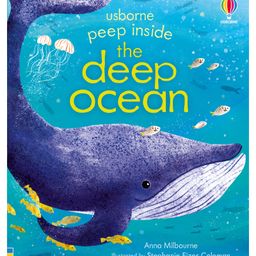 Usborne Peep Inside the Deep Ocean by Anna Milbourne- English-12