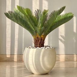 Mason Home Artificial Cycas Plant - 2.5 Feet-26
