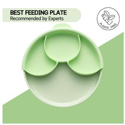 Miniware Section Feeding Plate - Green-picture-18