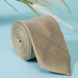 Peter England Men Woven Design Broad Tie-picture-15