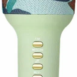 Superier Quality Bluetooth Microphone 2-in1 With Recording + USB+FM Microphone-picture-15