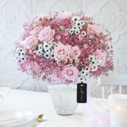 Rosy Gardenia-picture-22