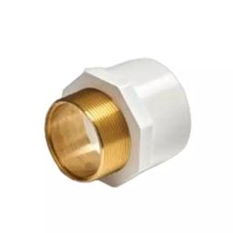 Astral 25.4 x 19.05 mm (1x¾ inch) UPVC Reducer Male Adapter Brass Threaded, M052801416-30