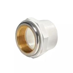 Astral 25.4 x 19.05 mm (1x¾ inch) UPVC Reducer Female Adapter Brass Threaded, M052801216-43
