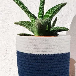 Inshreys Cotton Rope Indoor Planters-58