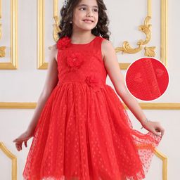 Mark & Mia Sleeveless Party Frock with Floral Applique - Red-image-49