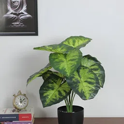ARICK DECOR Green 1 Pieces Diffenbachia Artificial Plant With Pot-image-49