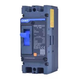 Chint 380-415 V AC 2 Pole NXM Fixed Thermal Magnetic MCCB 125 A, 209641-image-47