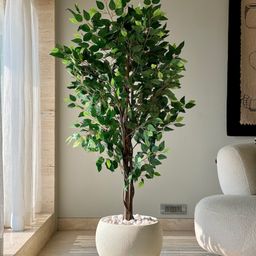 Mason Home Artificial Jade Ficus Plant - 5.5ft-image-34