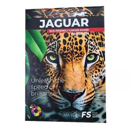 Jaguar 75 GSM FS Size Copier Paper 500 Sheets, White (Pack of 10 Ream)-35