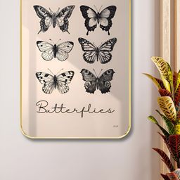Aura Off White & Black Butterflies Birds And Animals Wooden Wall Art-image-13