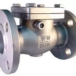 Valson 1-1/2 Inch,40 mm Stainless Steel 316 Swing Type Check Valve (NRV)-picture-46