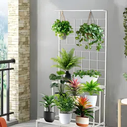 RUBOXA White 3 Tier Planter Stands-19