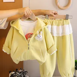 INCLUD Girls Hooded Pure Cotton Sweatshirt With T-Shirt & Joggers Set-picture-10