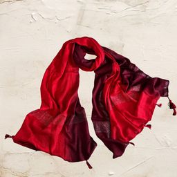 Dupatta Bazaar Women Ombre Handloom Regular Stole-image-86
