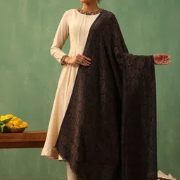 DUSALA INDIA Women Shawl-image-25