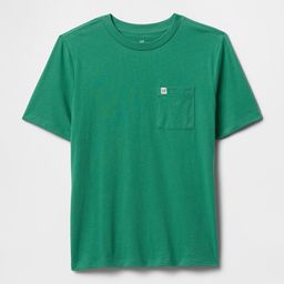 GAP Boys Pure Cotton Round Neck T-shirt-58