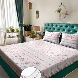 KLOTTHE Cream & Pink Floral Printed 300 TC Fitted King Bedsheet Set 2.70 m x 2.70 m-12