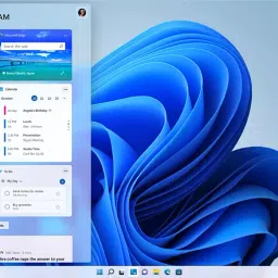 Microsoft Windows 11 Pro 64-Bit OEI DSP DVD Pack image 4