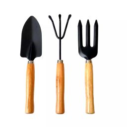 Robustt 3 Pcs Rust Resistant Stainless Steel Gardening Tools Kit, Black & Wooden-image-69