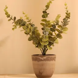 Elemntl Green & Brown Artificial Potted Eucalyptus Plant With Pot-35