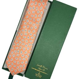 The Tie Hub Paisley Printed Skinny Ties-image-37