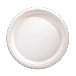 Generic Disposable Bagasse Plain Plate White (Pack of 100 Pcs)-picture-43