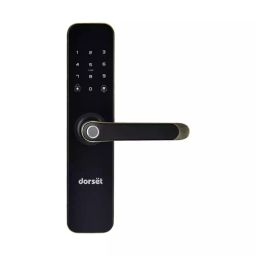 Dorset Steel Antique Brass Finish Smart Door Lock DG 201 MPT-image-49