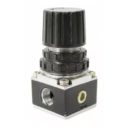 SPEEDAIRE Regulator for 1NNE5/2MLW4, 19NA66-picture-23