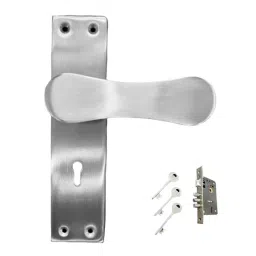 Cozi Gold 240x180x65 mm Stainless Steel and Brass Zinc Finish Mortise Door Handle 11004-KY-SS-image-82
