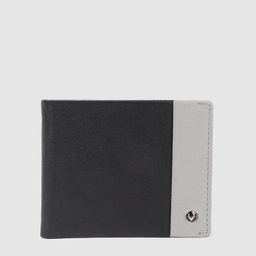 Allen Solly Men Colourblocked Leather Two Fold Wallet-49