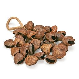 Sarveda Pangi Seed Shell Shaker-20