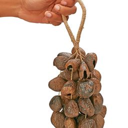 Sarveda Pangi Seed Shell Shaker image 3