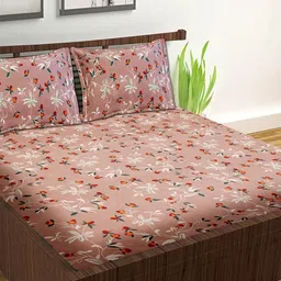 Wee Hours Brown & White Floral 210 TC Queen Bedsheet with 2 Pillow Covers-image-76