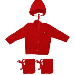 CUBS & HUGS Kids Set Of 3Pc Wool Knitted Embroidered Sweater With Cap & Booties-picture-31