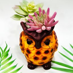 ShopMeFast Brown & Yellow Resin Lucky Owl Flower Planters-55