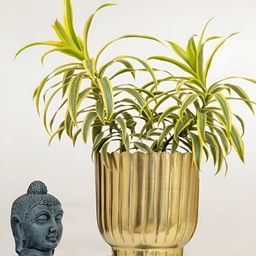 HomeShastra Textured  Planter With Holder-52