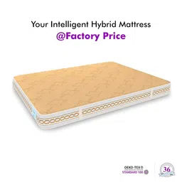 SLEEP SPA Beige Super Contour ISP Tech Bonnell Spring Single Size Mattress image 2