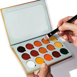 JUSTGOLD Skin Perfection Full Coverage Concealer Palette - 310 g image 5