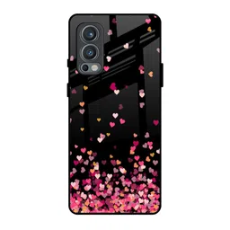QRIOH Quirky Printed Oneplus Nord 2 Back Case Mobile Accessories-4