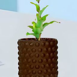 LASAKI Bubble Copper Small Truffle Ceramic Planters-image-80