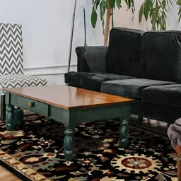 Sapana Carpet-Mats Black Floral No Shredding Polypropylene Carpet-image-51