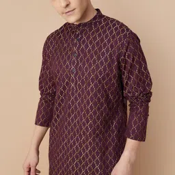Melange by Lifestyle Men Flared Sleeves Thread Work Kurta-image-43