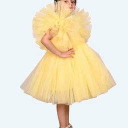 Modish Flutter Sleeve Net Fit & Flare Dress image 5