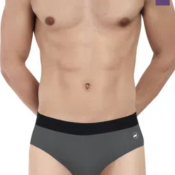 LOGGERHEAD Pack Of 2 Cotton Hipster Briefs LHMB002-Purple-S.Grey-88