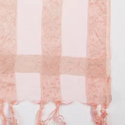 Dupatta Bazaar Peach-Coloured & Silver-Toned Striped Organza Dupatta image 2