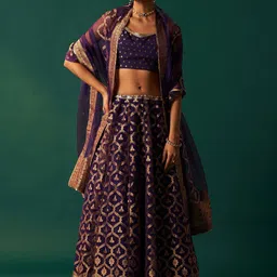 WISHFUL Woven Design Ready To Wear Lehenga & Blouse With Dupatta-picture-0
