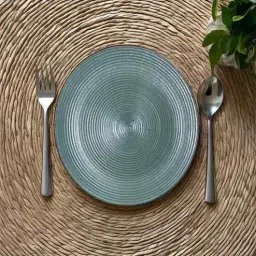freakway (Set of 2) Modern Farmhouse 10.6 Inch Dinner Plate (Saga Green)-picture-7