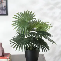 ARICK DECOR Green 1 Pieces Palm Artificial Plant With Pot-image-73