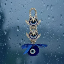 Fengshui Vastu 2 Owl Evil Eye Hanging Nazar Battu For Protect Negativity Decorative Showpiece-19 cm-28